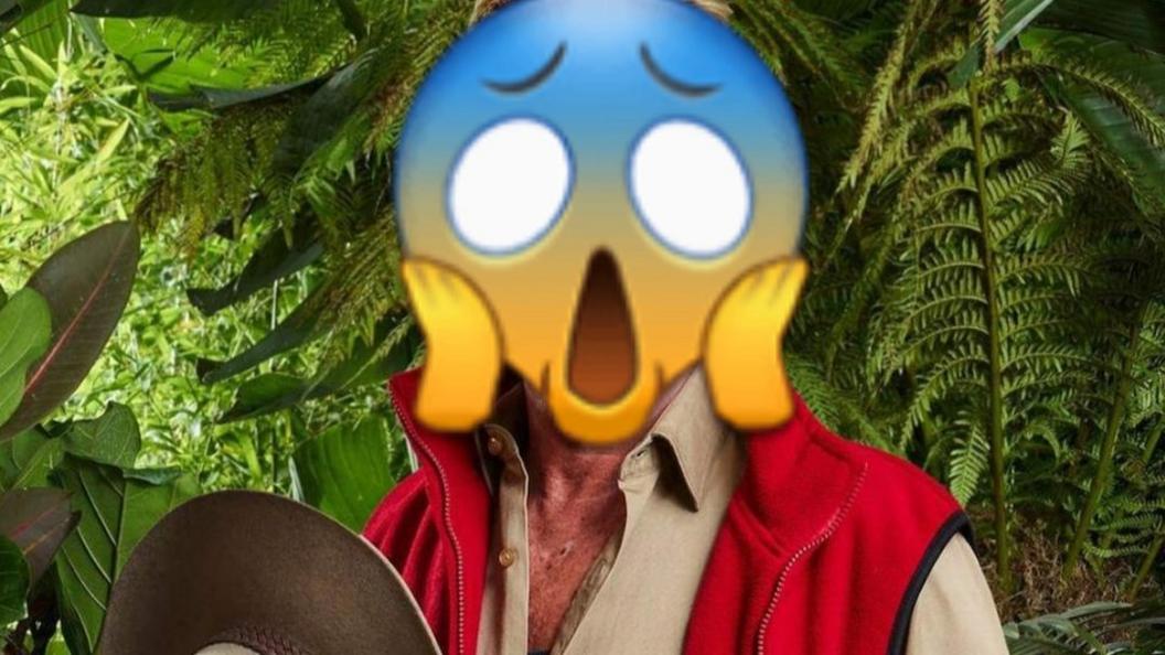 Scream emoji over I'm A Celebrity contestant.