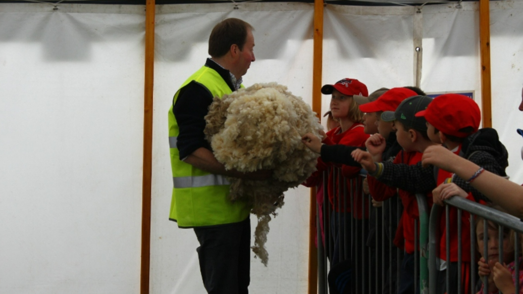 A man shows a sheep fleece to a group of children 