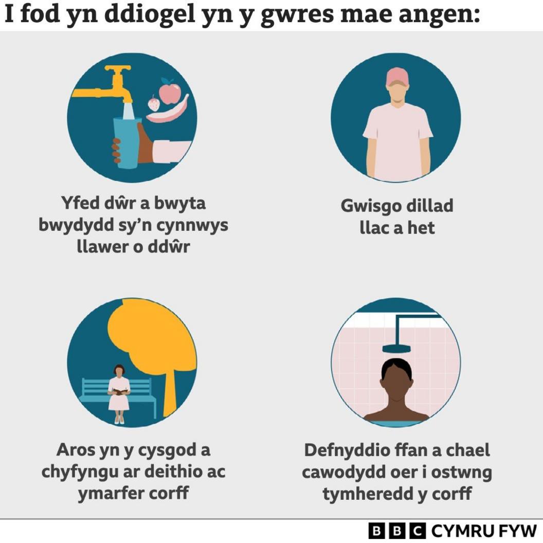 Graffeg yn nodi ffyrdd o aros yn ddiogel yn y gwres