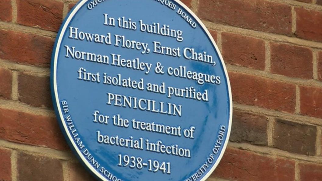 Blue plaque at Sir William Dunn School of Pathology