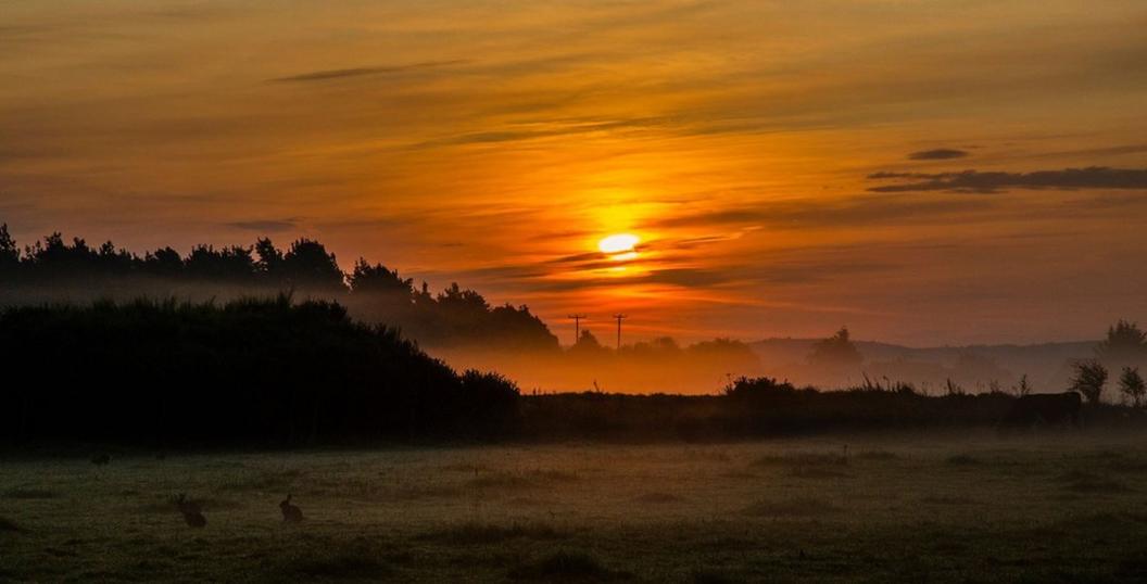 Sunrise over Culloden Battlefield