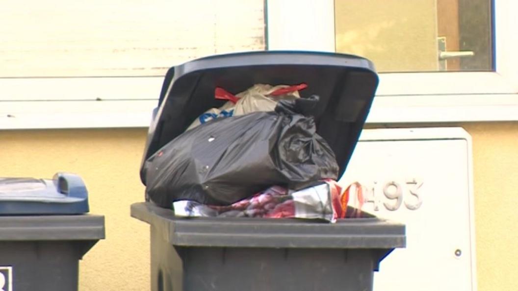 Bins in Selly Oak, Birmingham