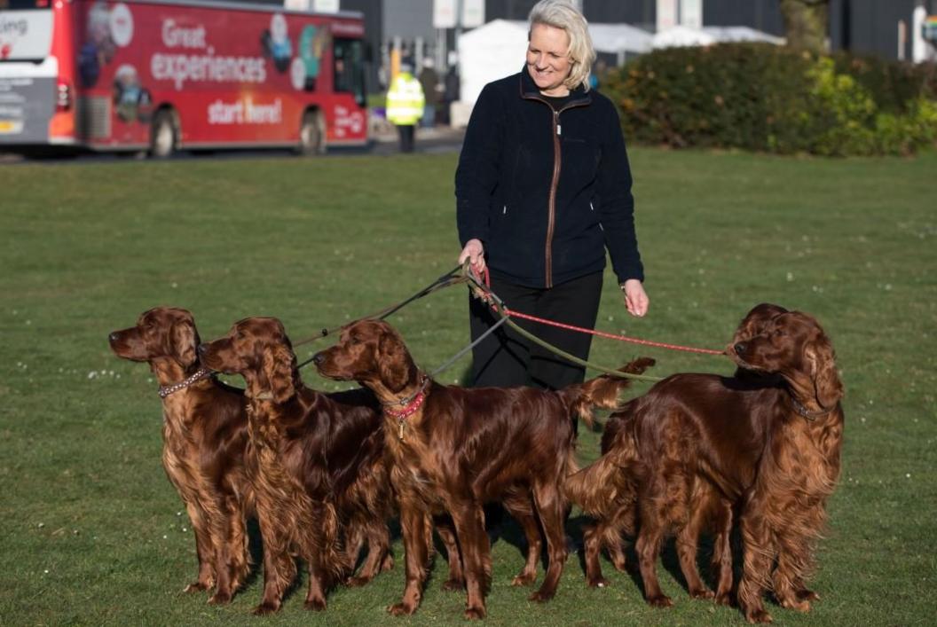 Crufts