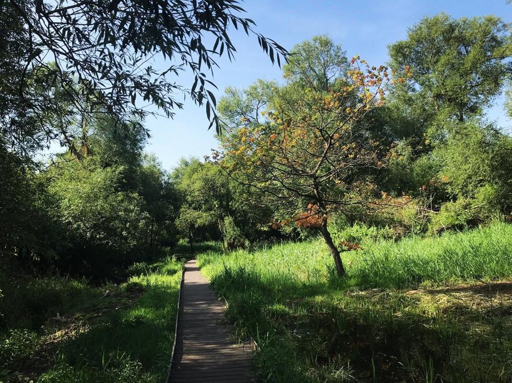 Lye Valley Nature Reserve