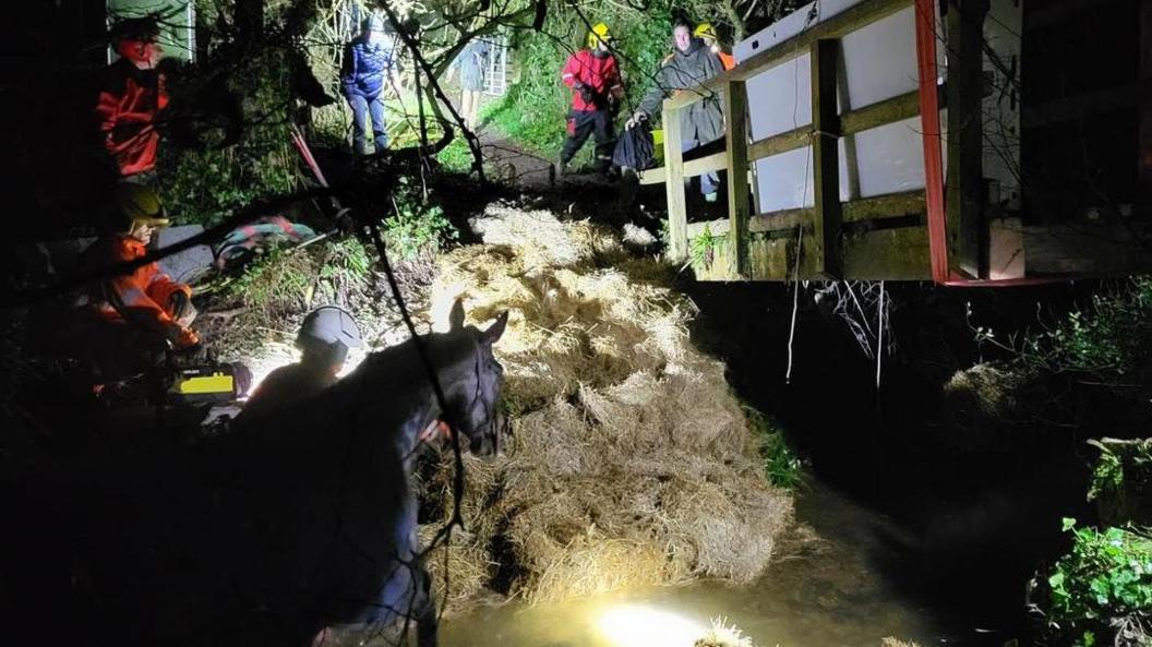 The scene after the horse has been rescued. It is dark and lit by rescuers floodlights. The horse is standing in the stream next to a firefighter. The bridge on the right of the picture is being held up by orange strops. A number of people, including several firefighters wearing white helmets and red overalls, are on the far bank of the stream.