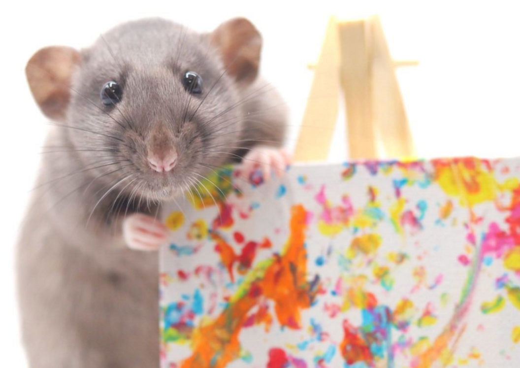 Image of a pet rat posing beside one of its miniature artwork creations