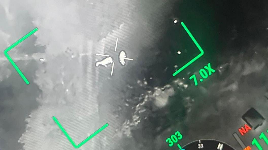 A black and white thermal imaging looking down over two sheep, which are lit up bright white. There is a green box around the animals, showing how the thermal camera works from a helicopter.