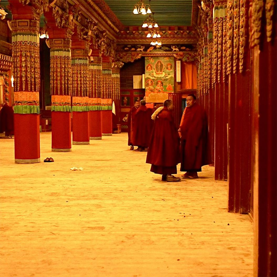 Tibetan monks in morning prayer