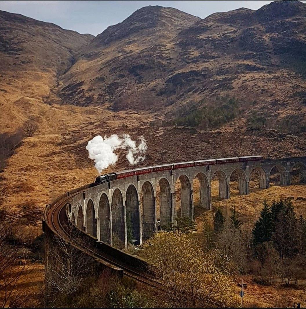 A steam train on a viaduct