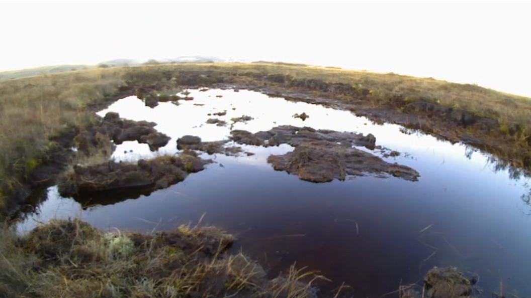 Cors Fochno peat bog near Borth, Ceredigion