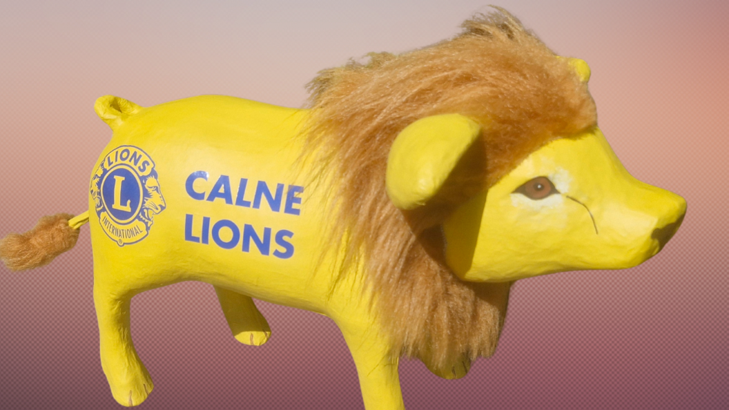 Yellow-painted pig with a feline-type eye, given a lion's mane and tail and with the Calne Lions blue logo on the side.