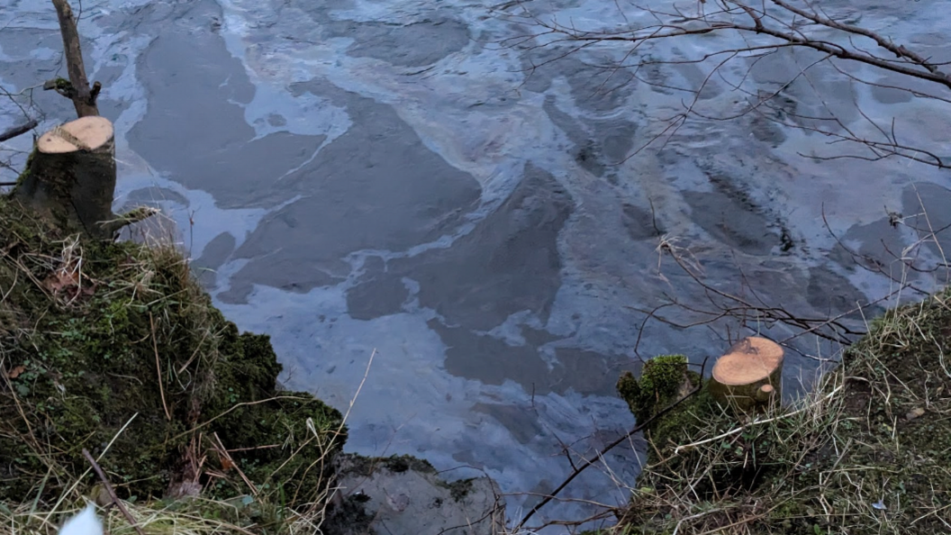 The bank of the River Kent with lots of diesel floating to the surface. 