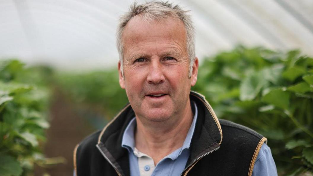 a man with grey hair wearing a blue shirt and gilet. he is standing in a polytunnel with plants growing behind him.