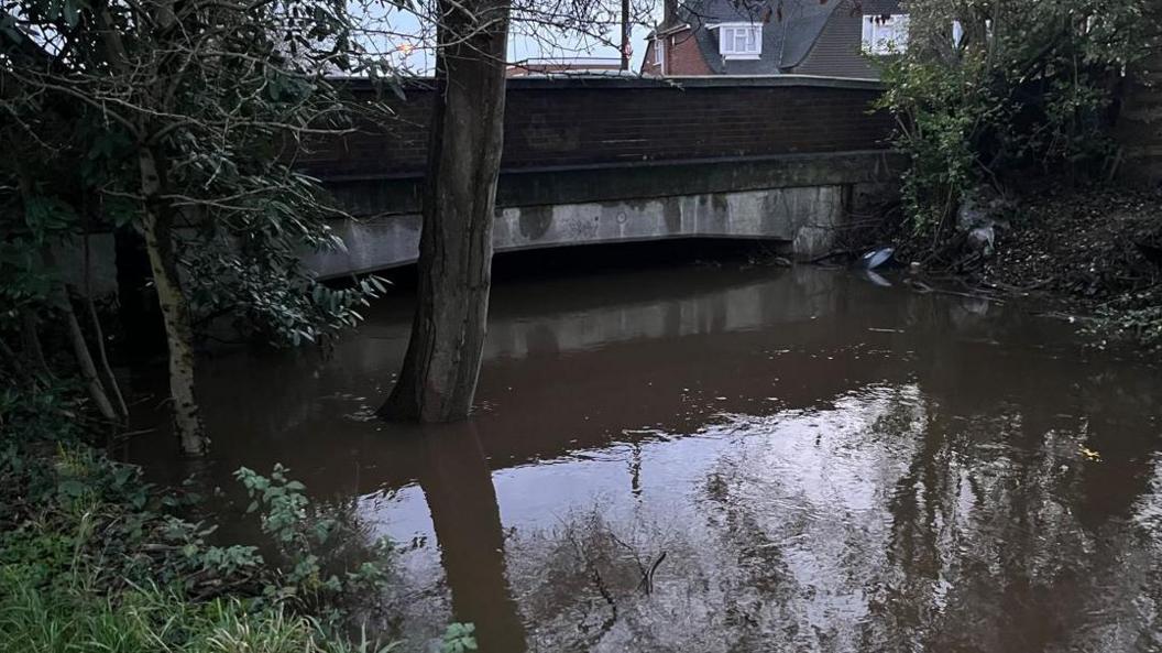 The River Bourne rising above a bridge