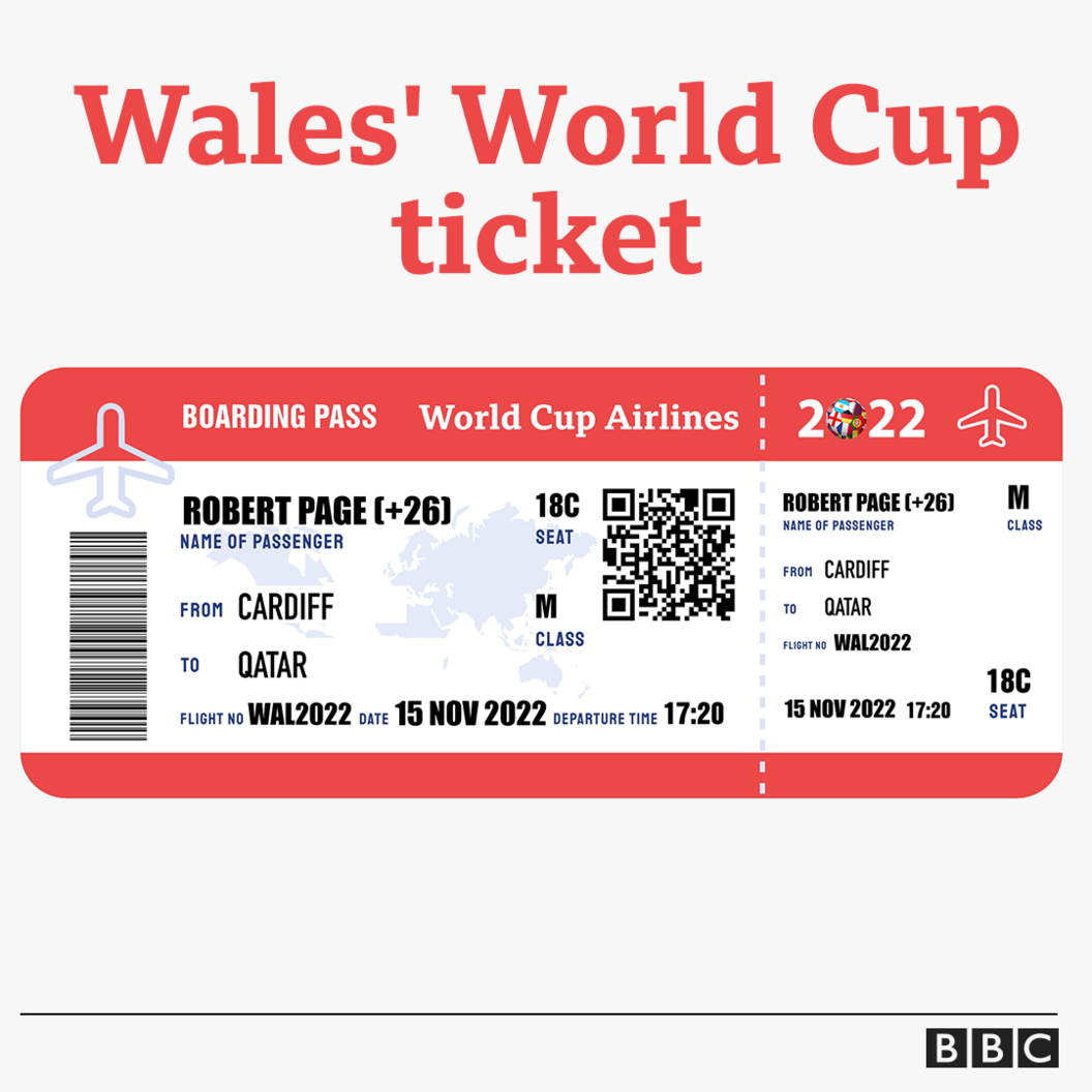 A graphic of our mock-up of how manager Robert Page's airline ticket to World Cup glory might look