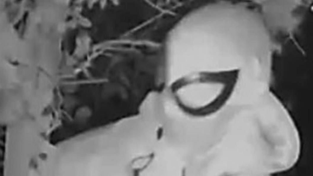 A black and white CCTV image of a man in a Spiderman mask