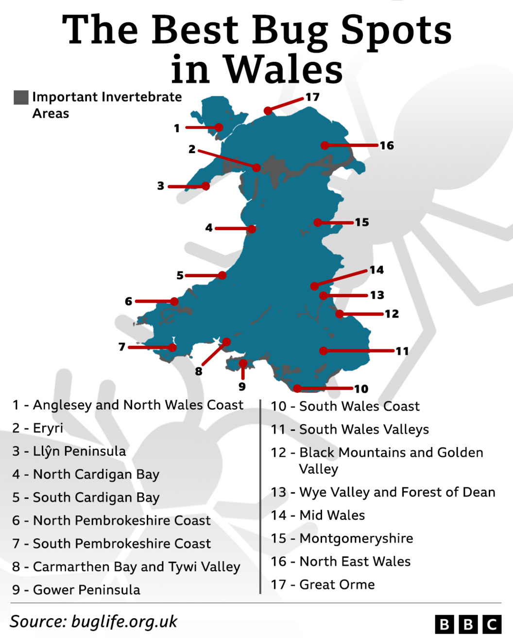 buglife map