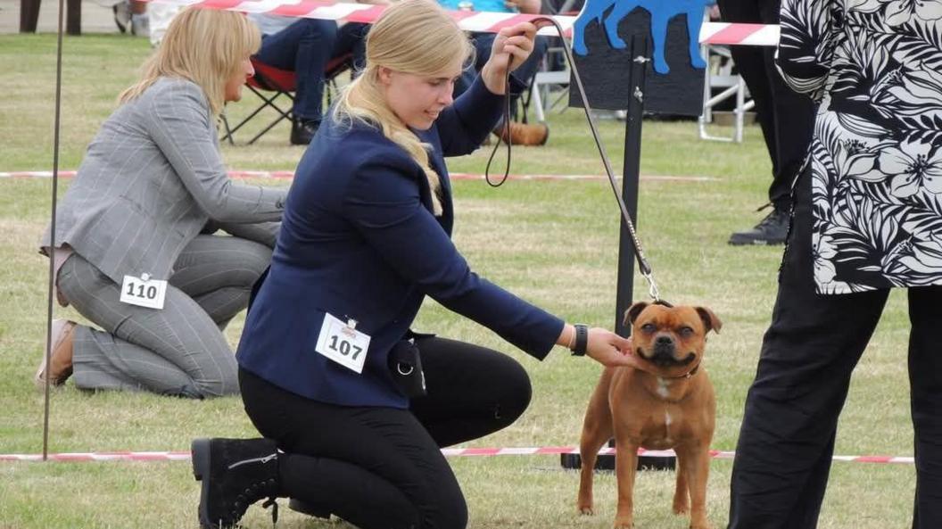 Jennie Logan with her dog Mouse at a dog show. She is holding the dog on a leash and is kneeling on the ground. Other people can be seen around.
