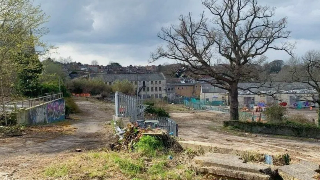 Derelict Saxonvale site with bare tree, and fences. Buildings and homes are in the background.