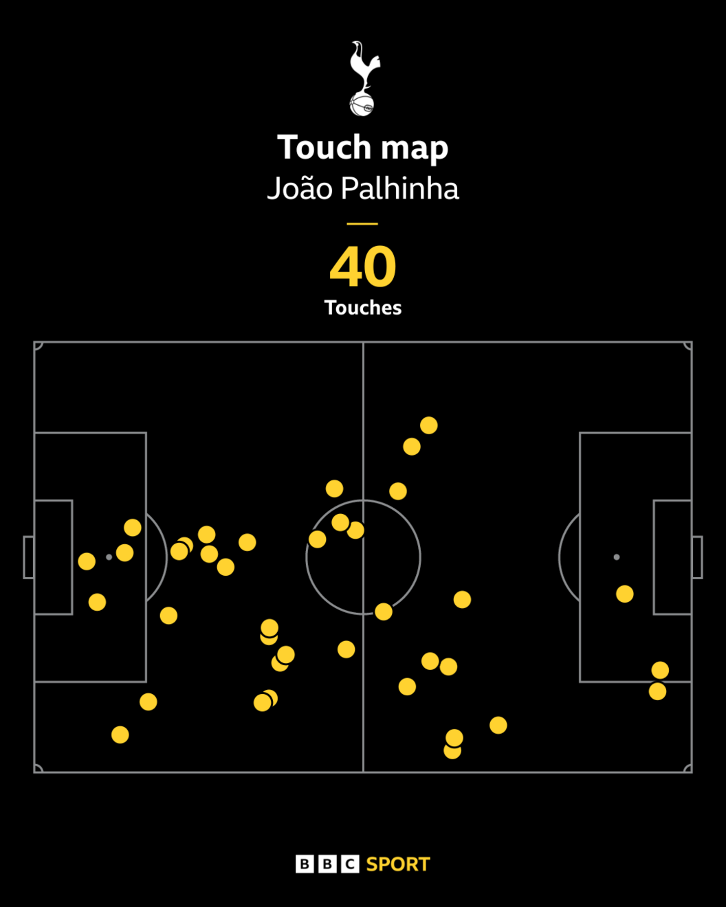 Palhinha's touch map against Man City