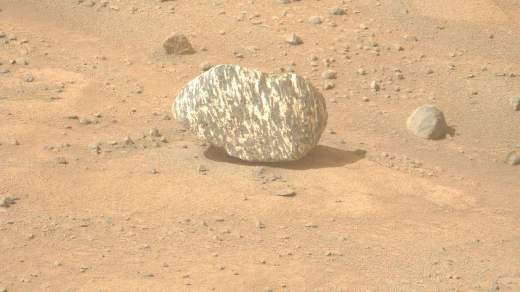 Perseverance rover: Nasa spots black-and-white striped 'zebra' rock on ...