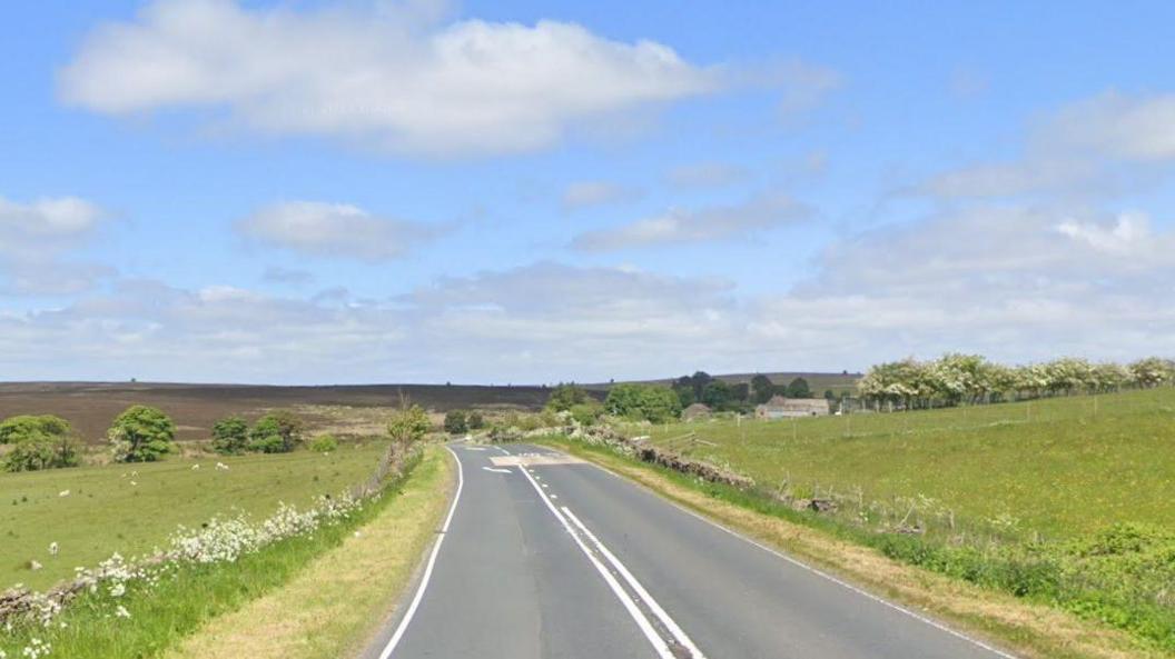 A fairly straight road stretches past green meadows and fields. Several sheep are in the left field, with white flowers growing along the fence. One or two houses are in the distance to the right.