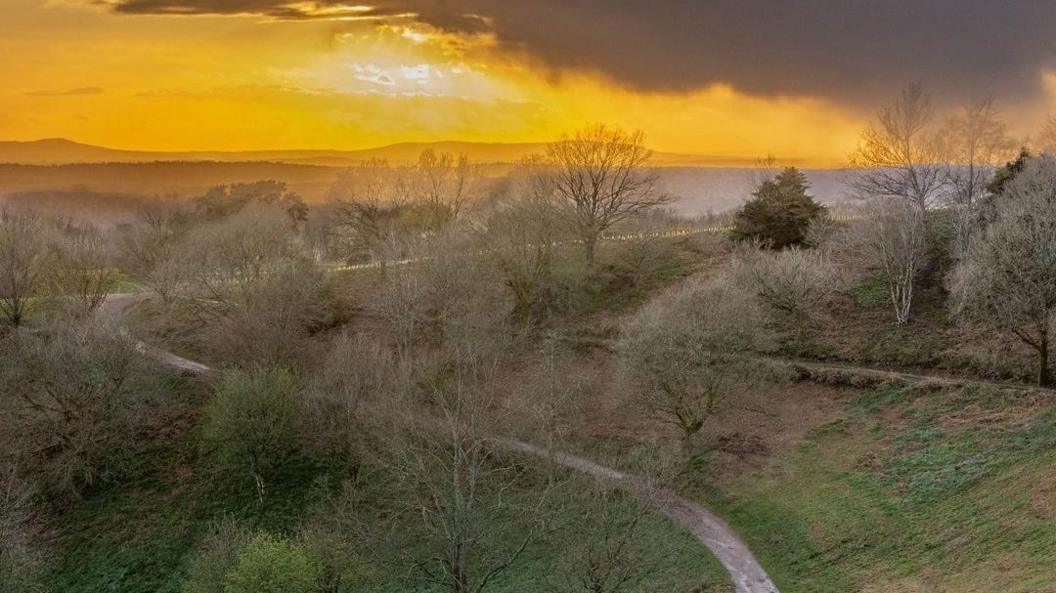 Taken in the Clent Hills in Worcestershire