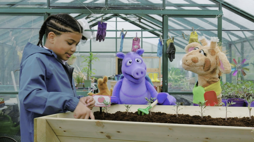 A child in a blue raincoat stands in a greenhouse with puppets, Arlo the Armadillo, which is a purple character, and Harold the Giraffe, while they look at seedlings growing in a trough.