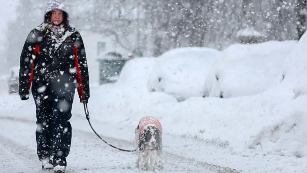 Boireannach a' coiseachd le cù san t-sneachd