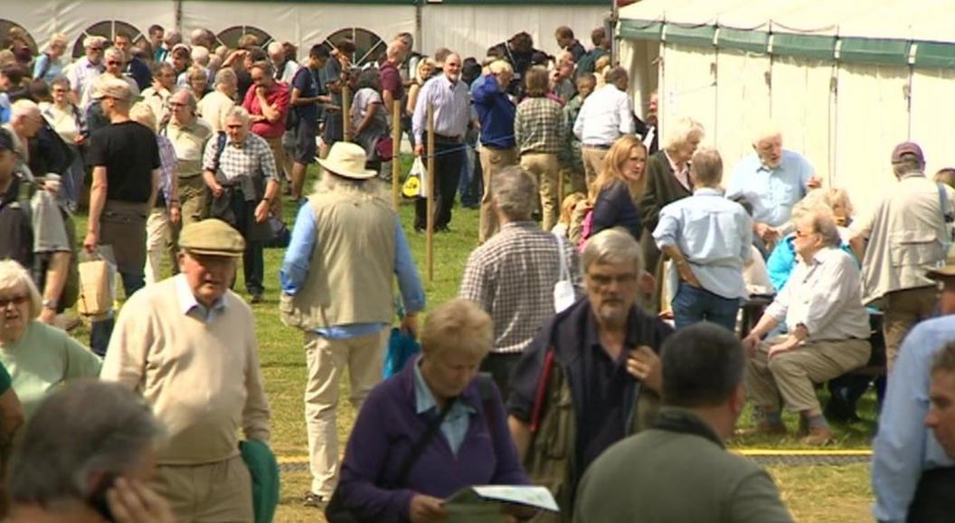 Rutland Birdfair