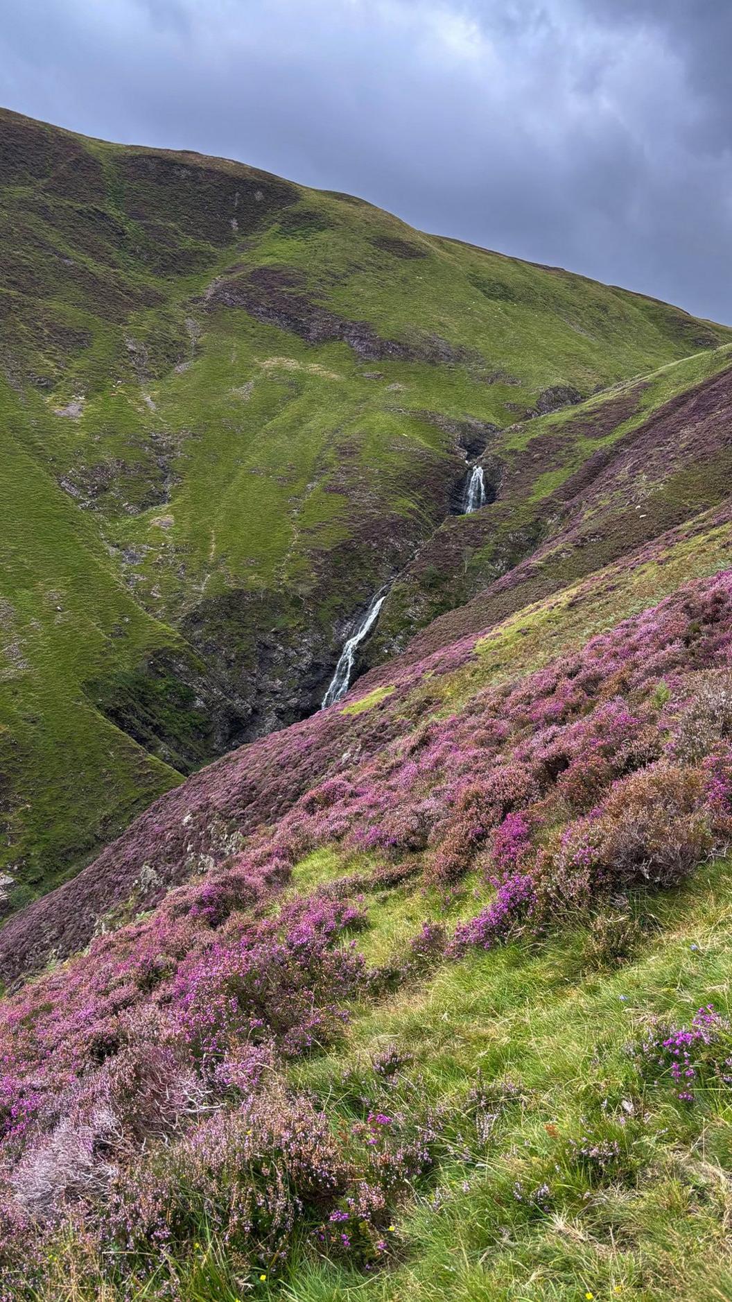Narrow waterfall running down a steep hill with heather growing on the hillside