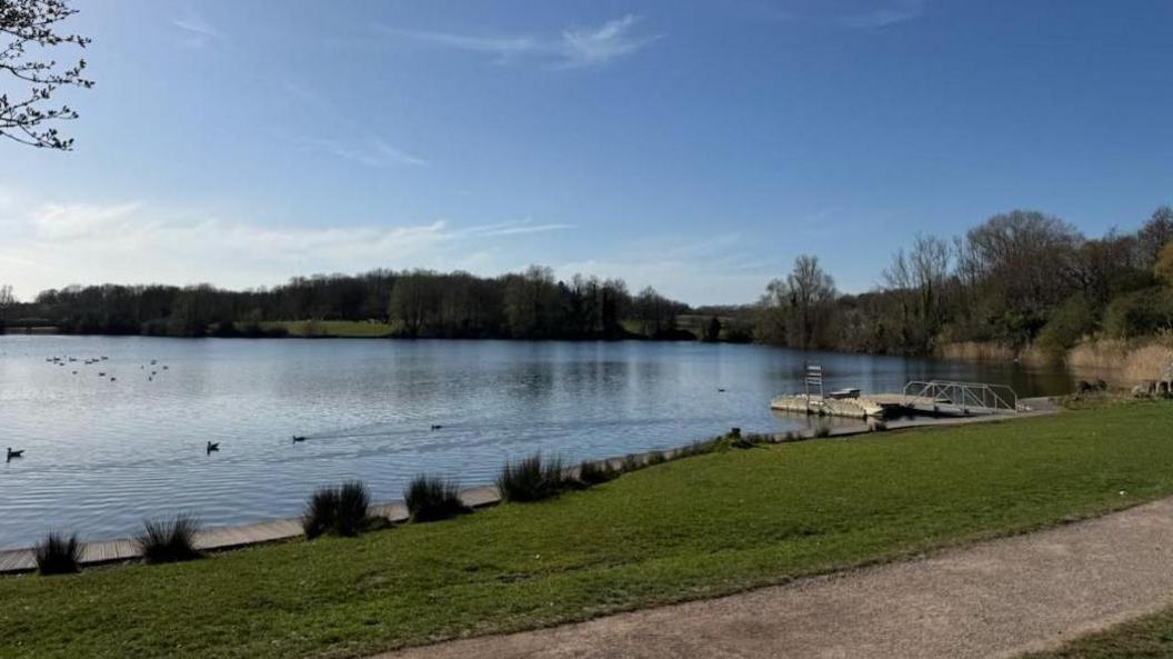 Wildfowl on the water at Cosmeston Lakes Country Park