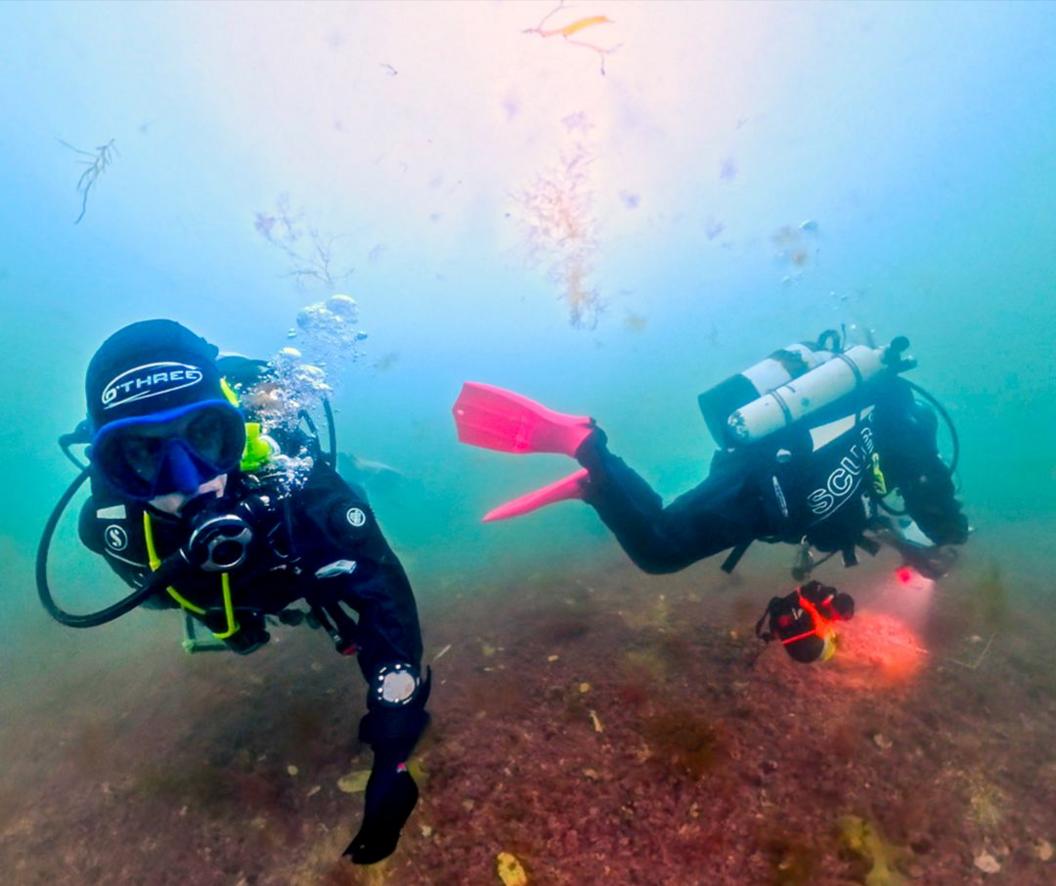 Divers swimming over a maerl bed