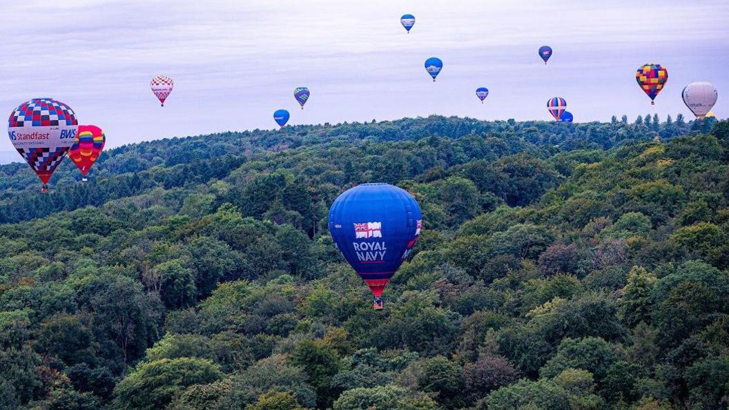 Dozens of colourful hot air balloons hover over thick green woodland