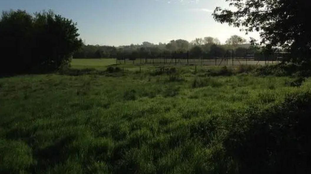 A green field with trees in the background