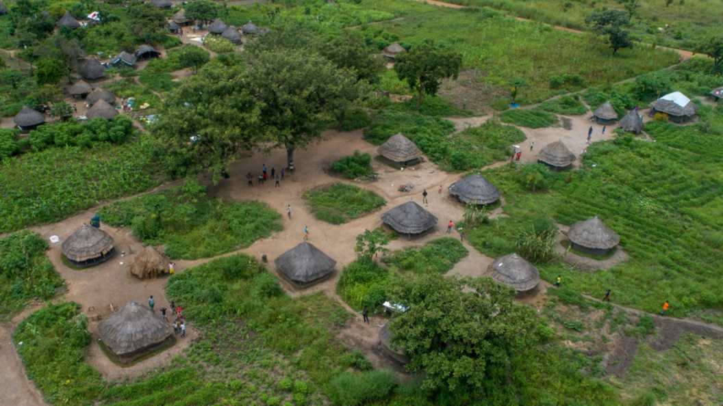 An aerial shot of Palabek refugee camp. Thatched roof houses are surrounded by lush greenery