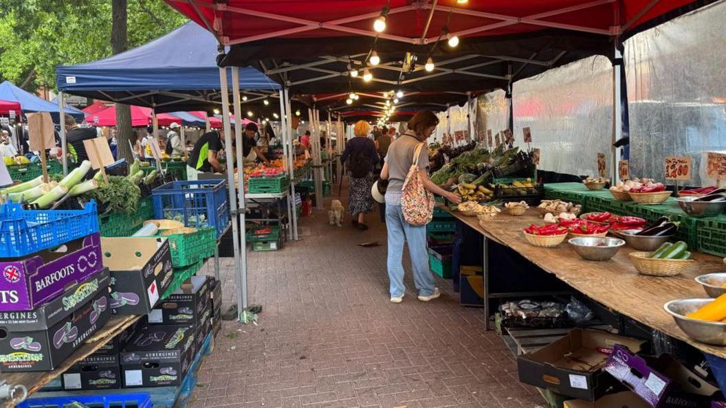 Under a long, thin canopy, a woman peruses a fruit and vegetable stall. Stacked cardboard boxes can be seen nearby