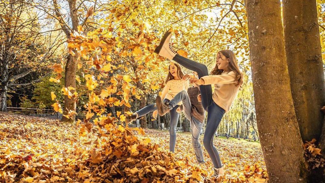 Three children kick colourful yellow and orange leaves outdoors in a park
