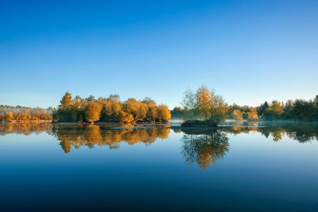 Woorgreens Lake in the Forest of Dean on an autumn day, with mist shrouding islands filled with trees on the water