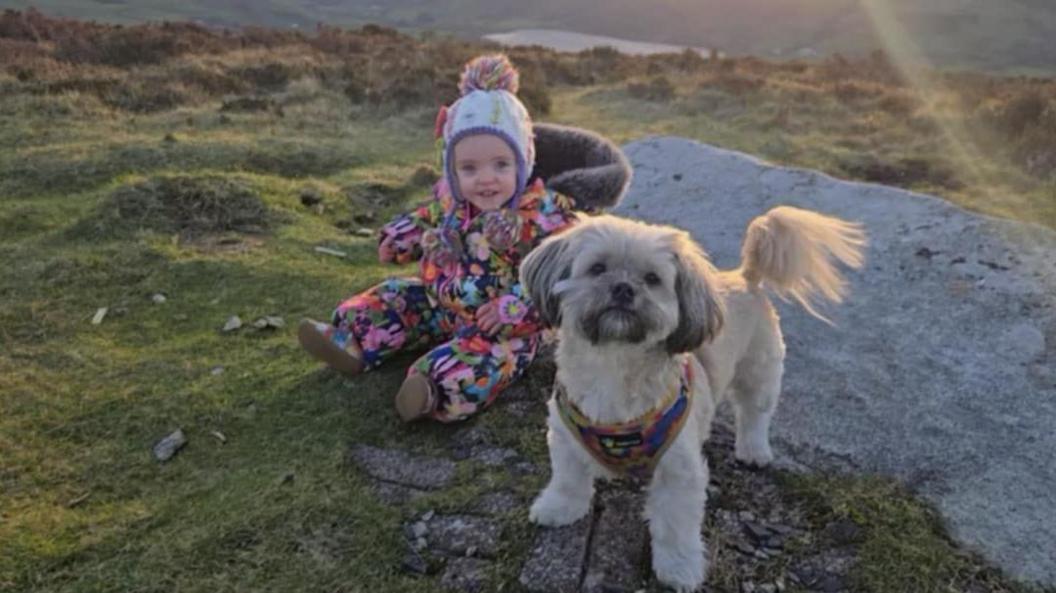 Arwen, sydd bellach yn ddyflwydd oed, ger llwybr fynyddig gyda chi'r teulu