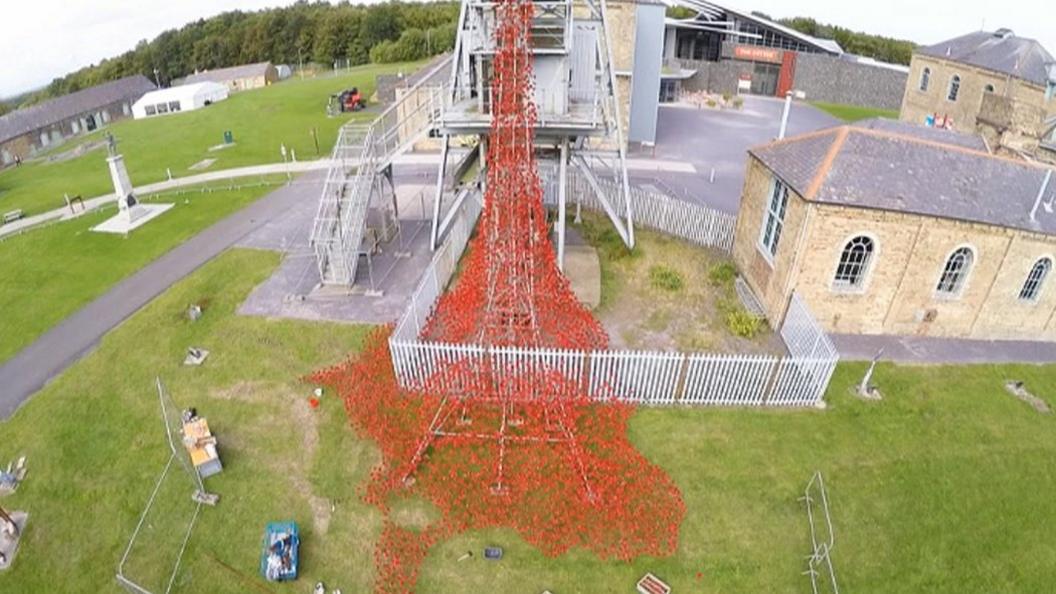 Woodhorn cascade of poppies