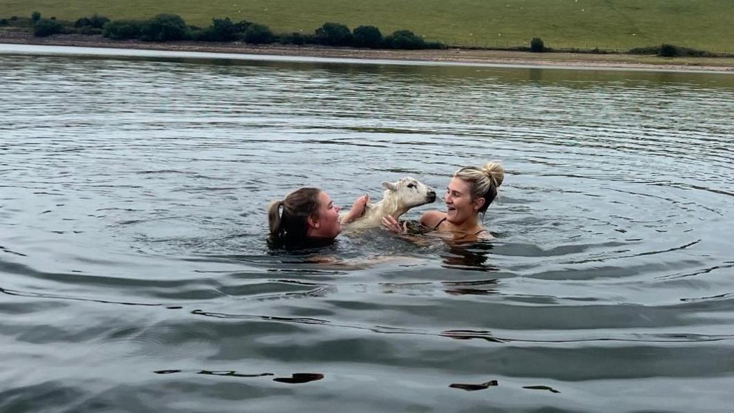 Abi Cox and Britney Lawrence swim in the middle of a lake to save a sheep which had got into the water. Both Abi and Britney are shoulder deep in the water.