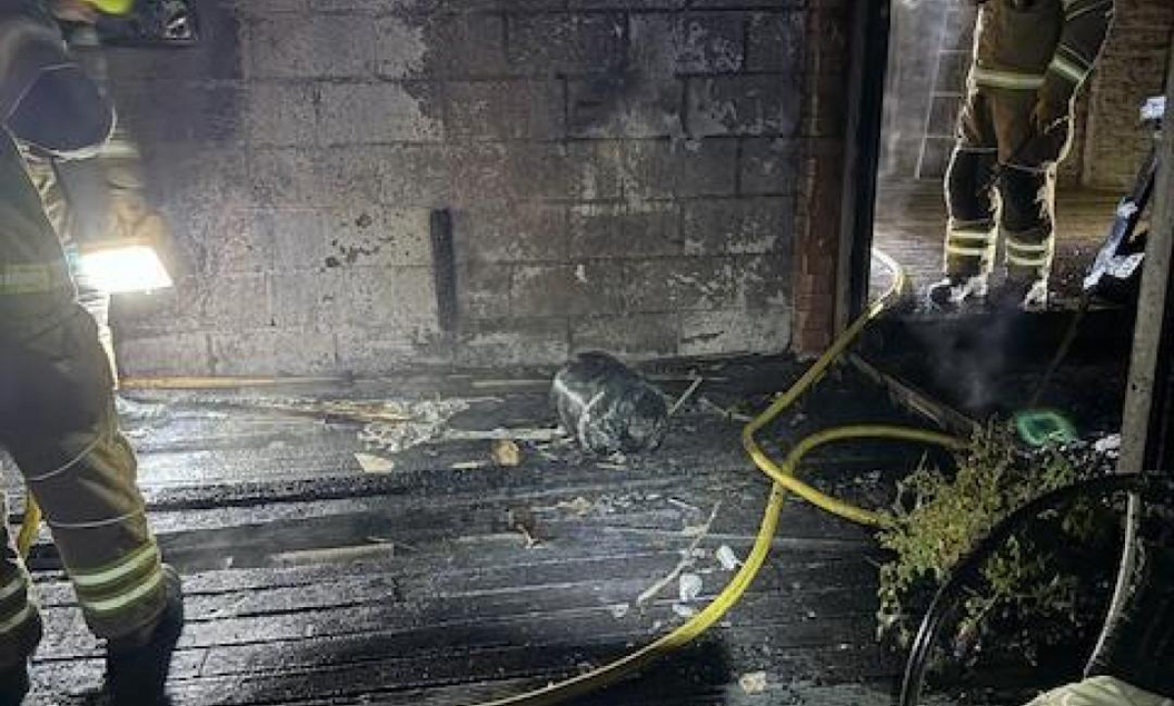 A burned looking shed with fire water hoses in the frame