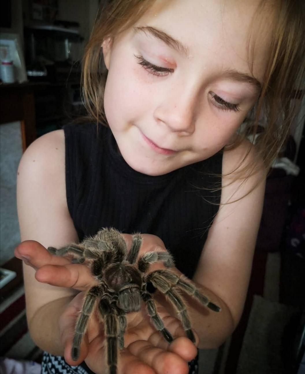 hollie-with-tarantula