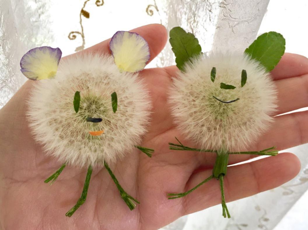 Dandelion creations