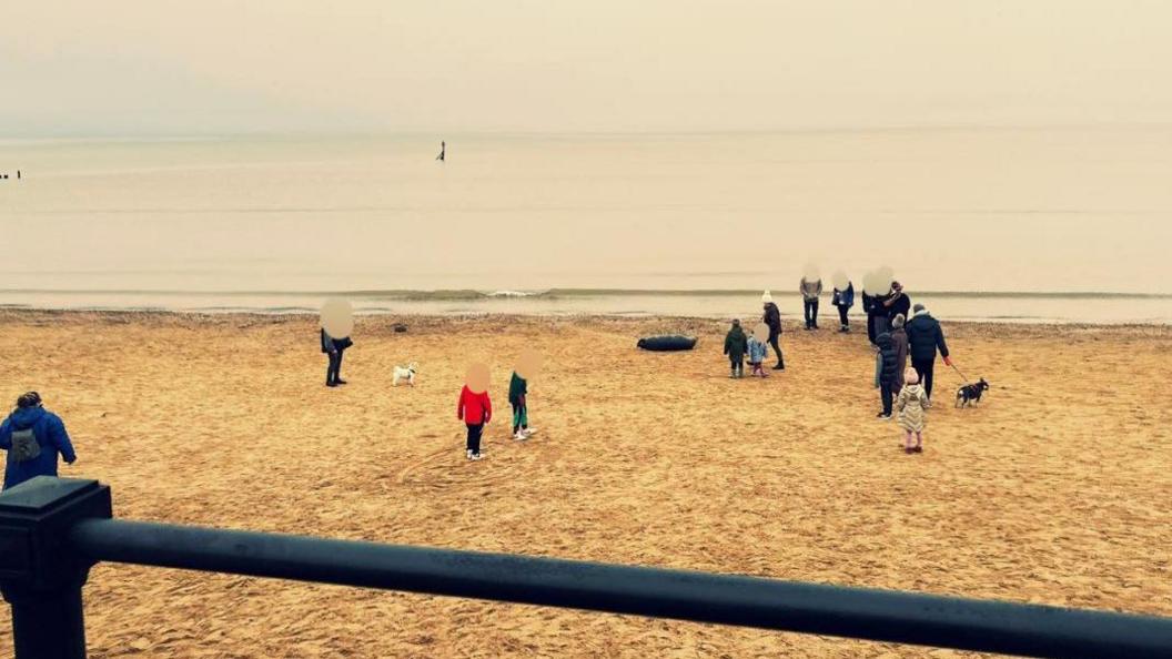 A photo of a beach. A seal is resting on the sand and adults, children and dogs are crowding around it. 