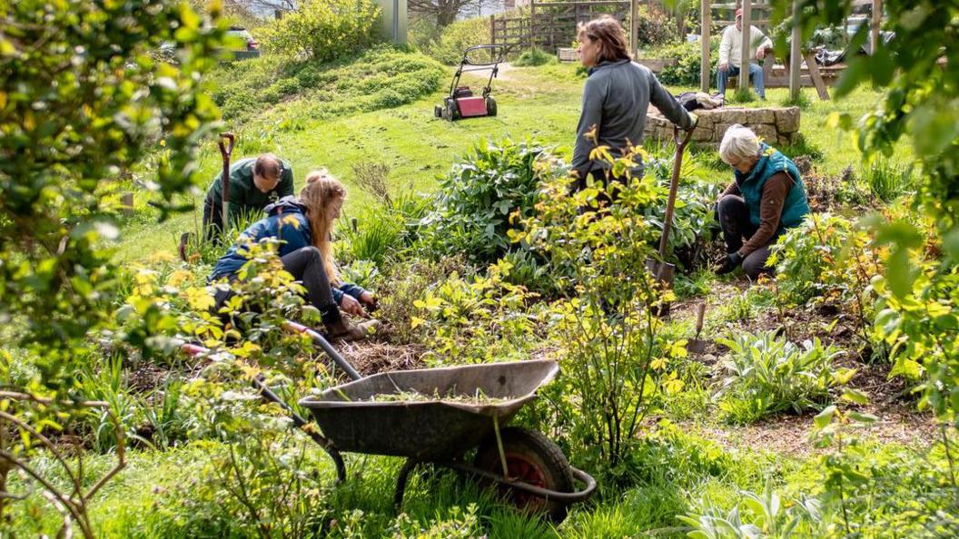 Four people weeding a plot at Bath City Farm