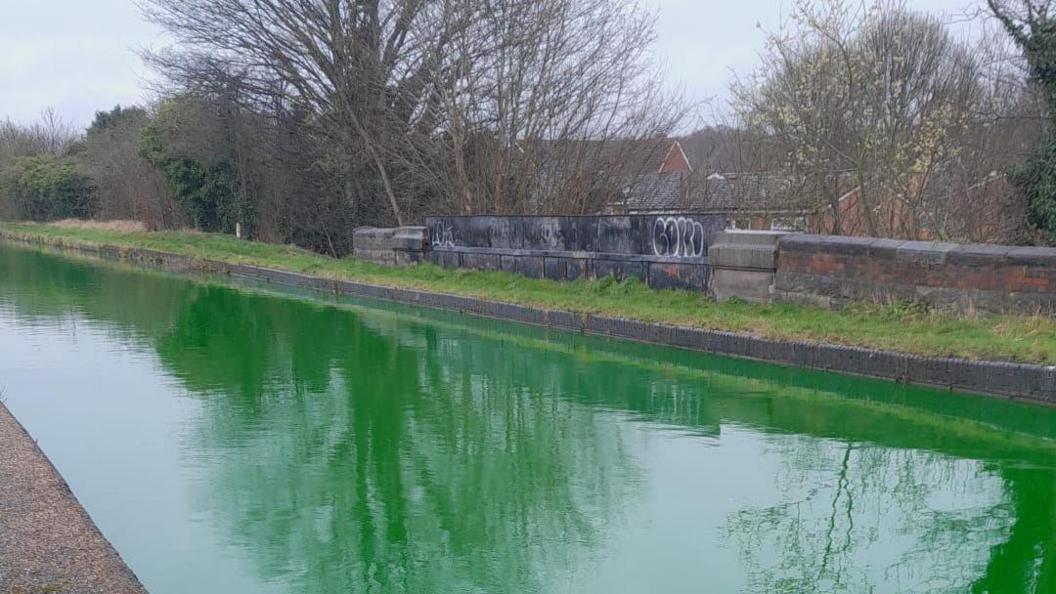 A green canal