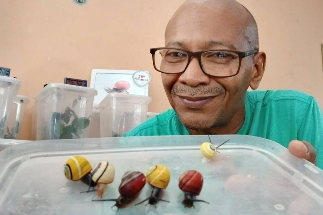 The image shows a smiling man with glasses on. He is holding towards the camera the lid from a large tupperware box, which has six colourful Polymita snails sitting on it.