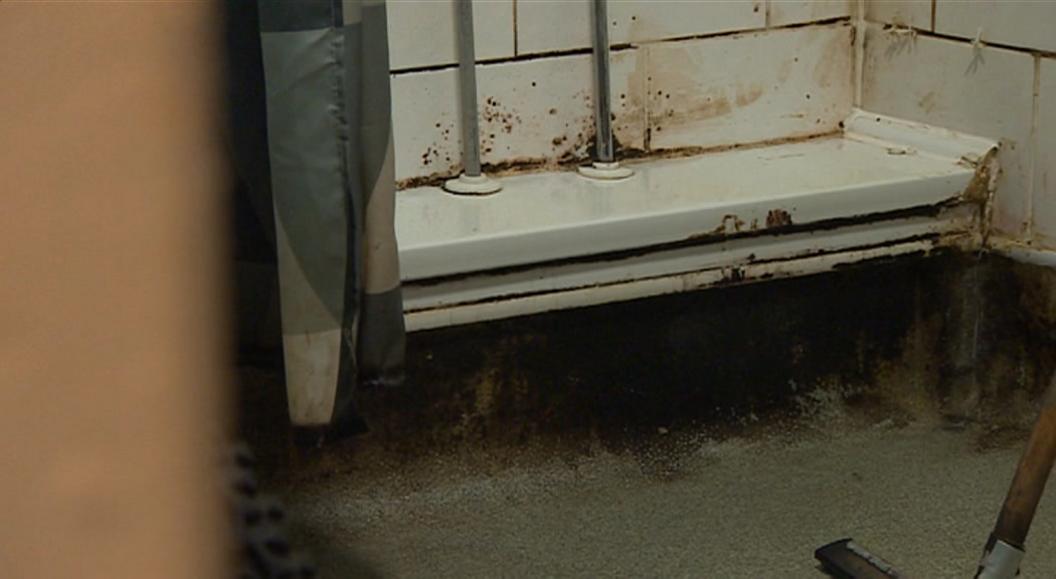 Mould in Leane Thompson's bathroom